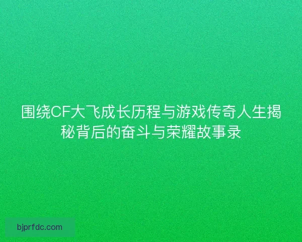 围绕CF大飞成长历程与游戏传奇人生揭秘背后的奋斗与荣耀故事录