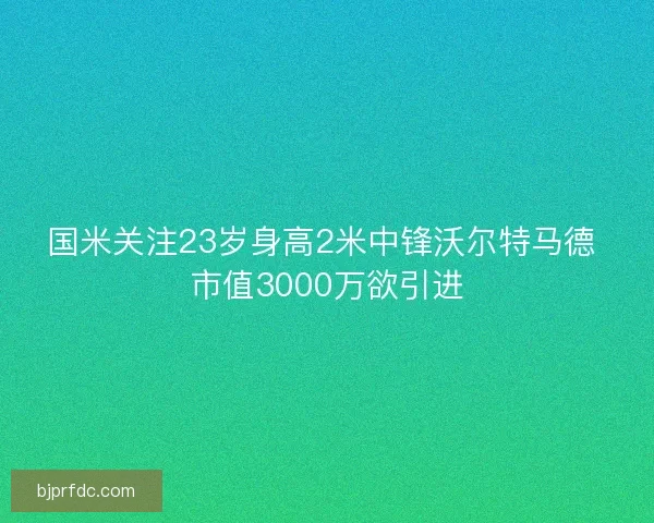 国米关注23岁身高2米中锋沃尔特马德 市值3000万欲引进